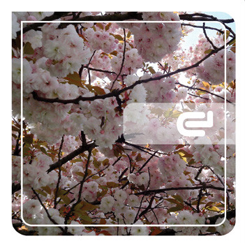 Noomeral EP