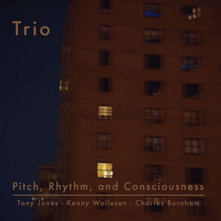 Pitch, Rhythm, And Consciousness - Trio