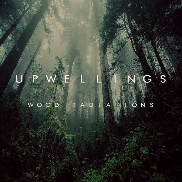 Wood Radiations