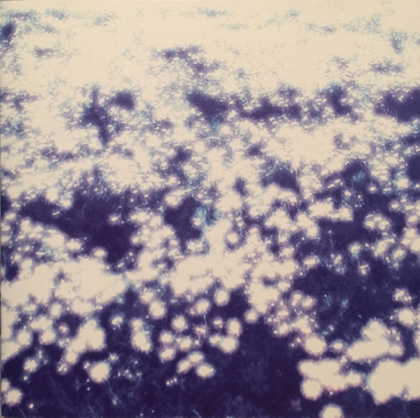 Microcosmos