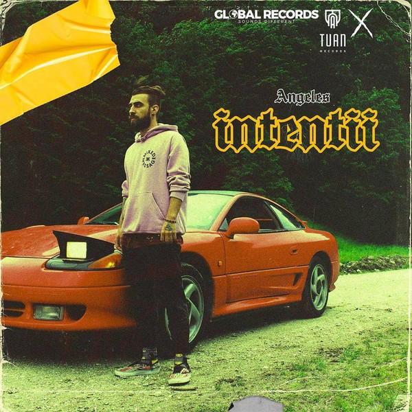Intenții