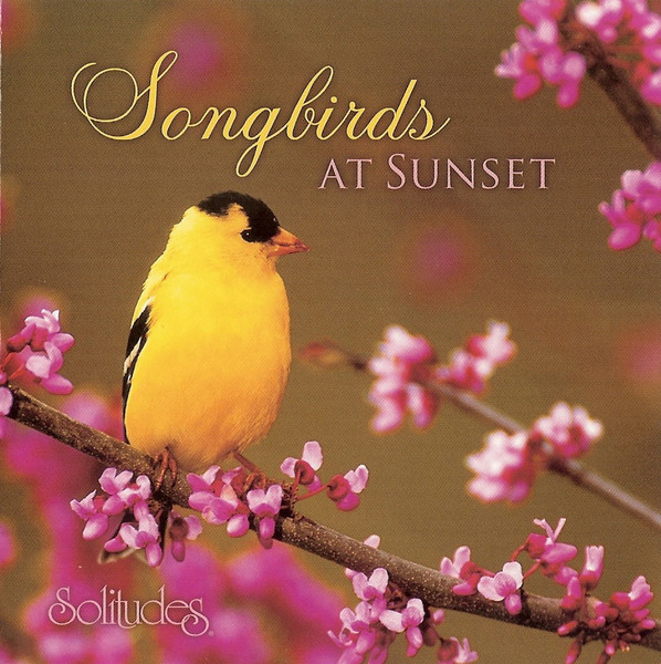 Songbirds At Sunset