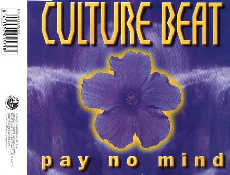 Pay No Mind