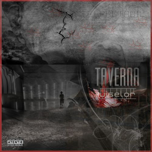 Taverna Viselor