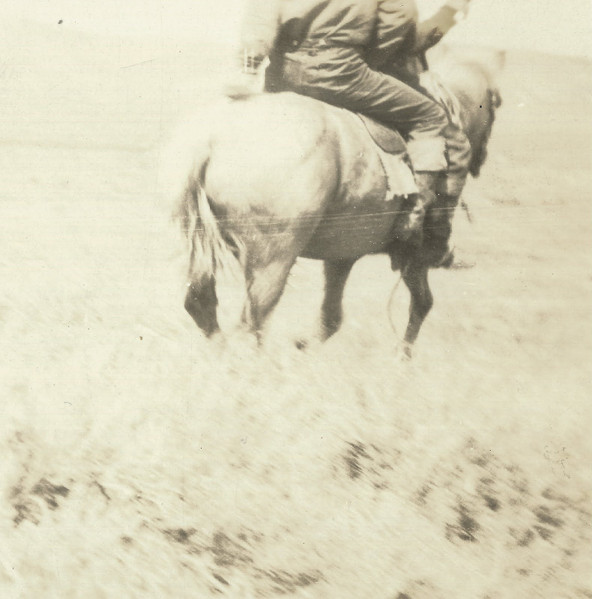 The Hired Hand (OST)