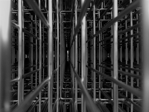 Caged In