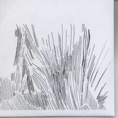 Runt Page