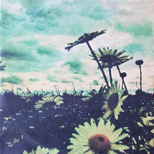 13 Songs By Jim Dead