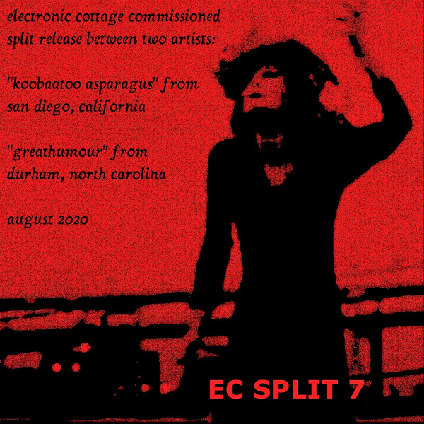 EC Split 7