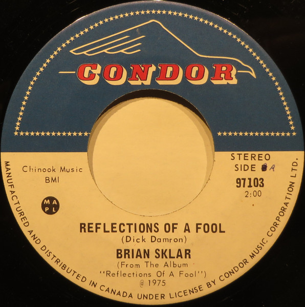 Reflections Of A Fool