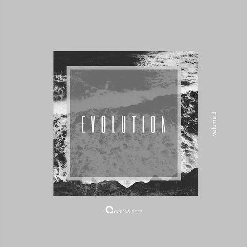 Evolution (Volume 3)
