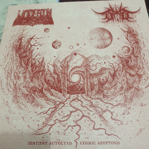 Sentient Autolysis / Cosmic Apotosis