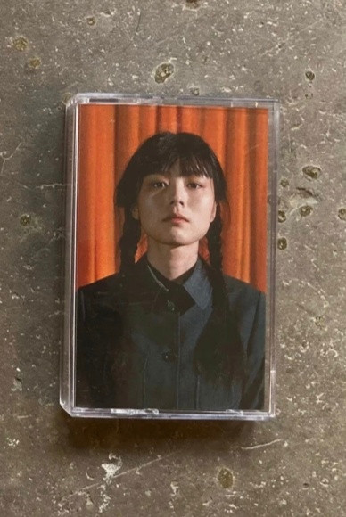 成长小说 = Bildungsroman