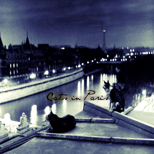Cats In Paris