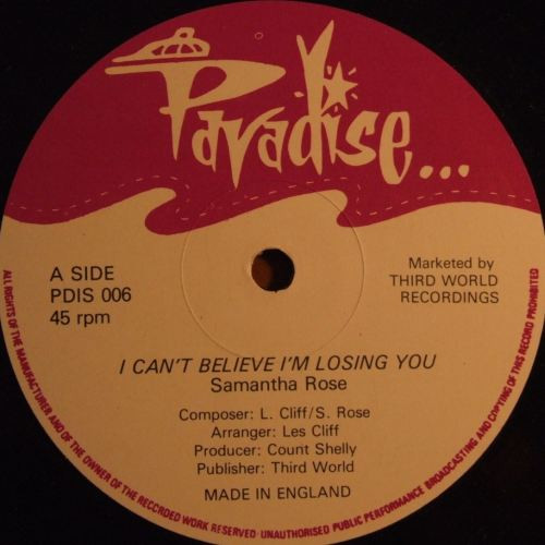 I Can't Believe I'm Losing You / I Won't Stop Loving You