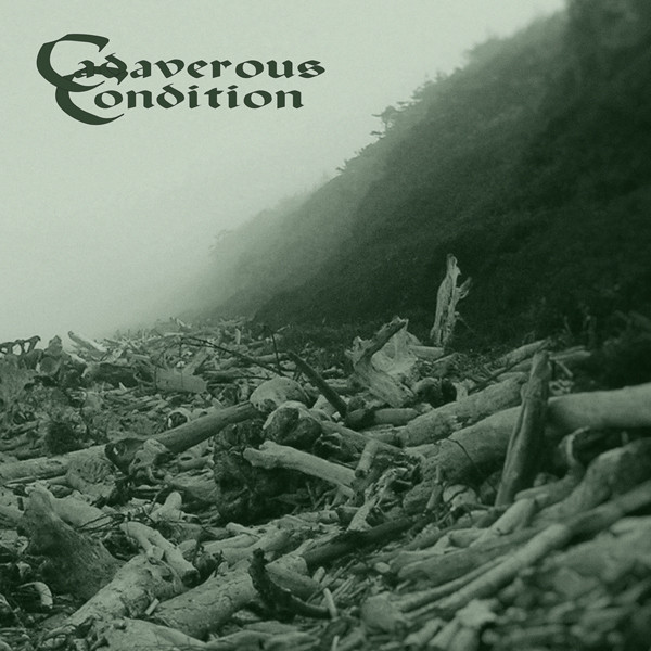 Burn Brightly Alone