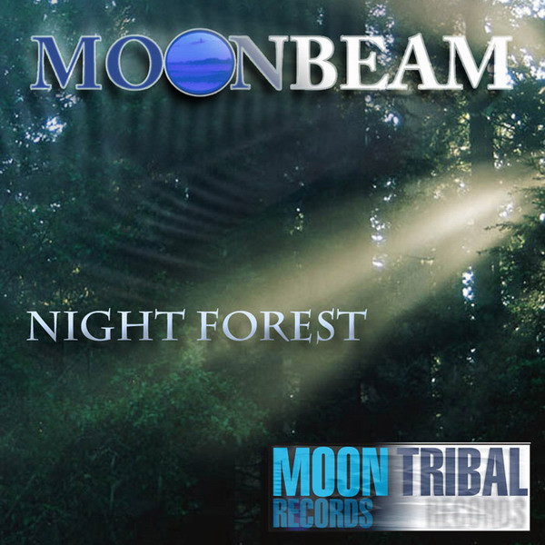 Night Forest