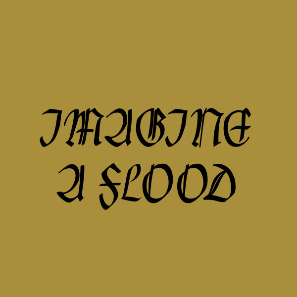 Imagine A Flood