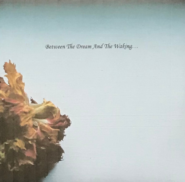 Between The Dream And The Waking . . .
