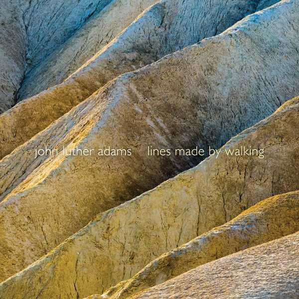 Lines Made by Walking