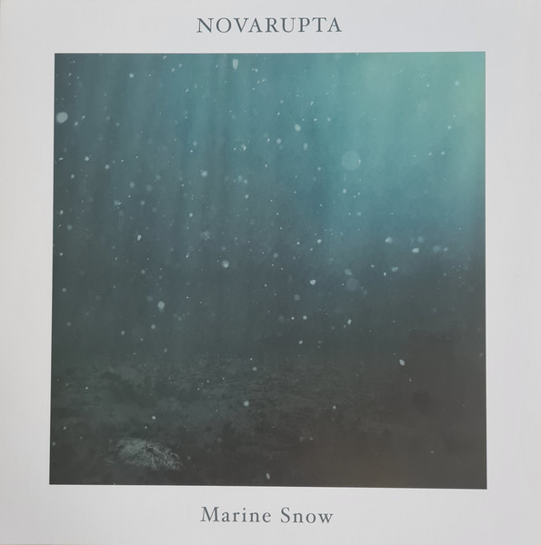 Marine Snow
