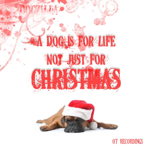 A Dog Is For Life Not Just For Christmas