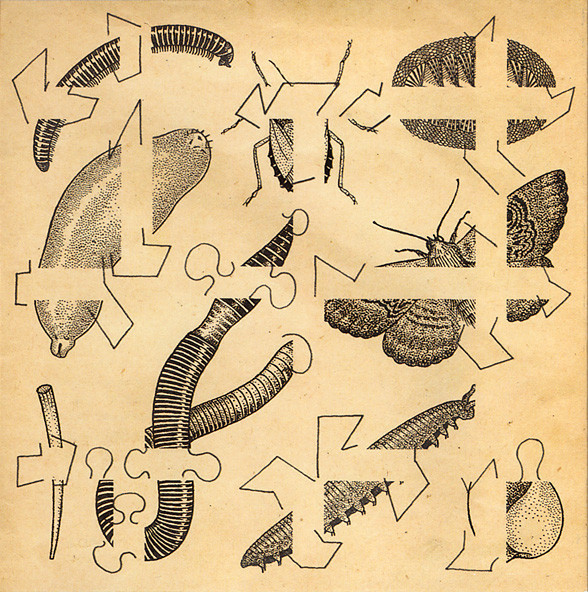 Dirt Beneath The Daydream
