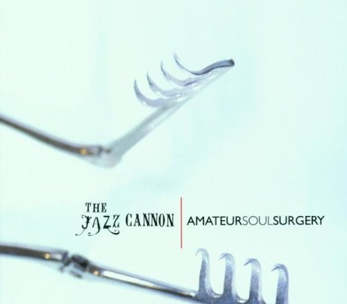 Amateur Soul Surgery