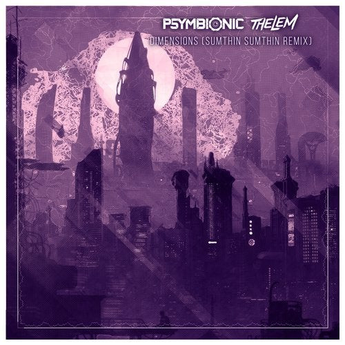 Dimensions (Sumthin Sumthin Remix)