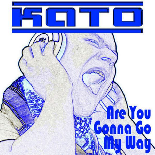 Are You Gonna Go My Way