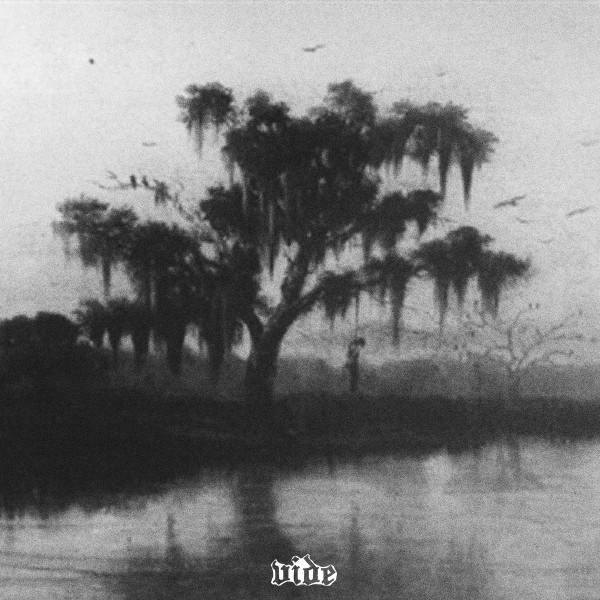 Hanging By The Bayou Light