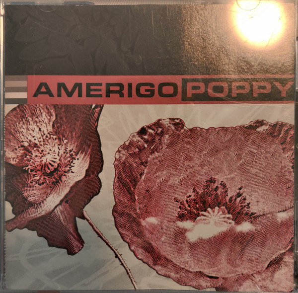 Amerigo Poppy