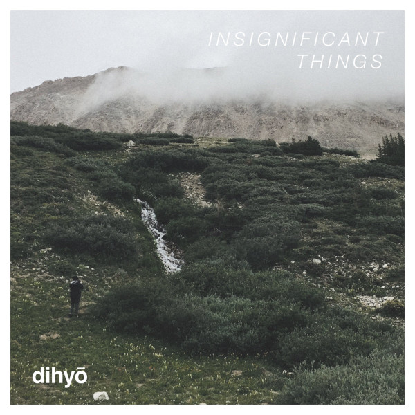 Insignificant Things