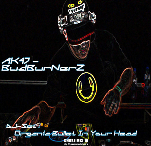 Organic Bullet In Your Head