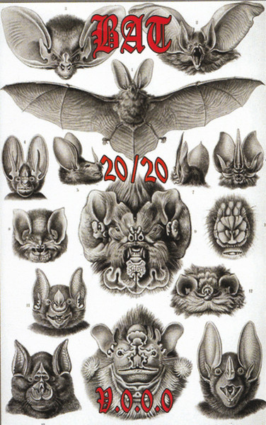 20/20 Bat V.0.0.0