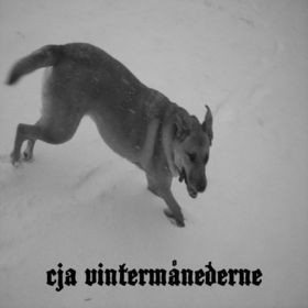 Vintermånederne