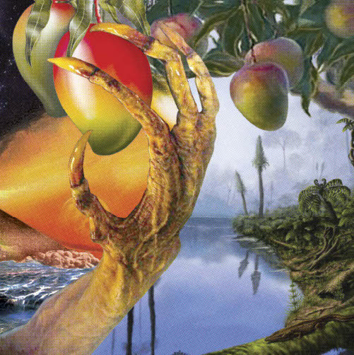 A Morphology Of Wonders