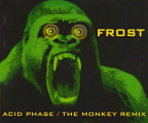 Acid Phase / The Monkey Remix