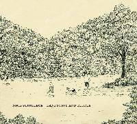 Landscape And People