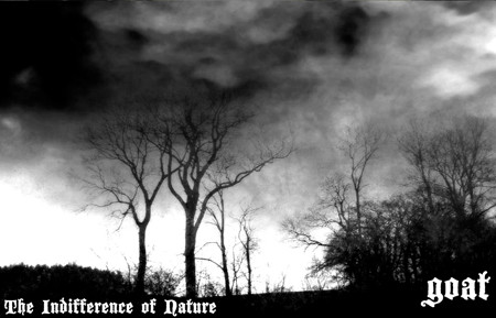 The Indifference Of Nature