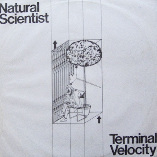 Terminal Velocity