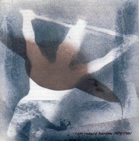 Ism Robert Horton 1979-1991