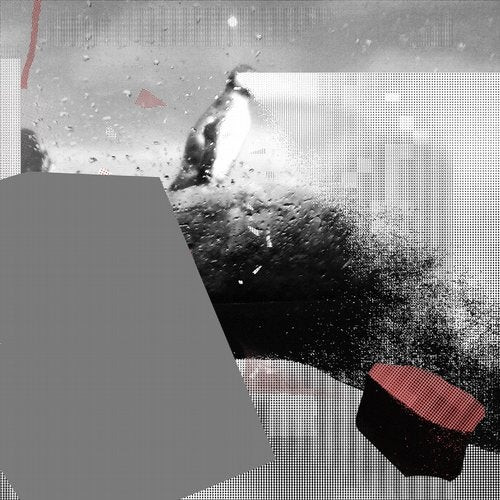 Fear Of Opacity