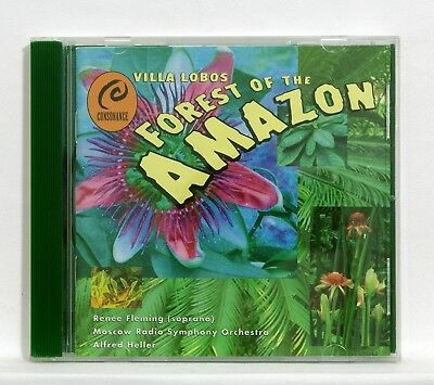 Forest Of The Amazon