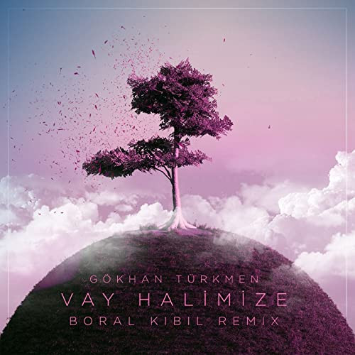Vay Halimize
