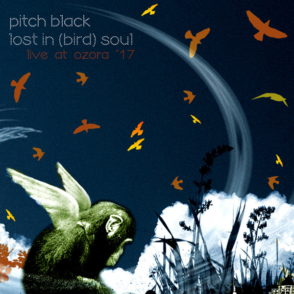 Lost In (Bird) Soul