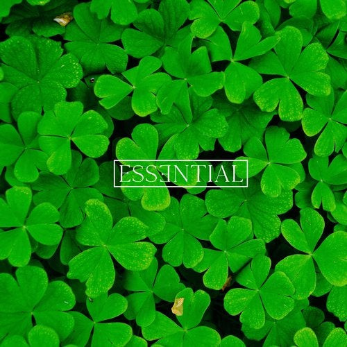 Essential 005