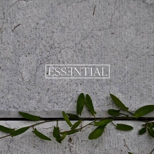 Essential 011