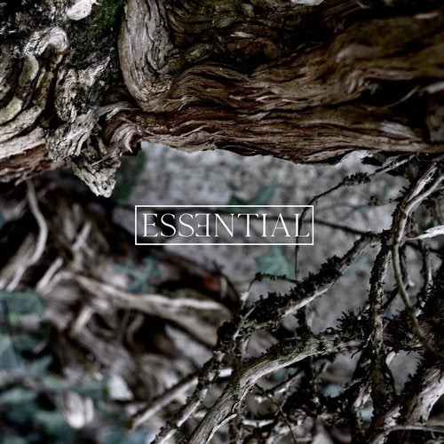 Essential 012