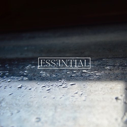 Essential 013